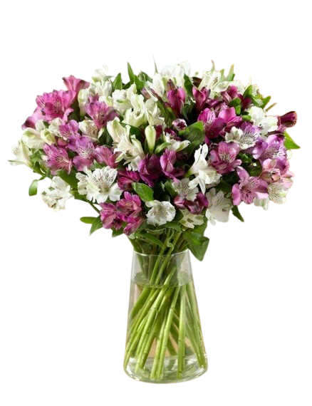 Florero en Astromelias